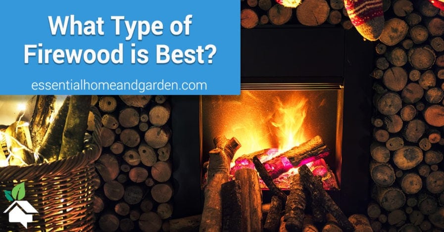Types Firewood – A Simple Guide To Burning The Right Fuel what type of firewood is best hero 897x469