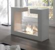Bio Ethanol Fireplace Fresh Download 25 Bio Ethanol Kamin