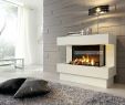 Bio Ethanol Fireplace Unique Wohnzimmer Kamin Design – Easyinfo