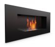 Bio Fireplace Inspirational Ethanol Kamin Kratki Delta2 Czarny Tuv