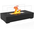 Bioethanol Fireplace Insert Best Of Amazon Regal Flame Utopia Ventless Tabletop Portable