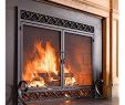 Black Fireplace Doors Inspirational Amazon Pleasant Hearth at 1000 ascot Fireplace Glass