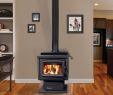 Blaze King Fireplace Inserts Inspirational Propane Fireplace Blaze King Propane Fireplace