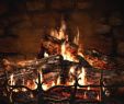 Blazing Fireplace Awesome Pinterest
