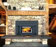 Blower for Fireplace Insert Lovely Buck Fireplace Insert – Petgeek