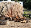 Boulder Fireplace Fresh This is A Typical Fireplace at One Of Our Seasonal Campsites