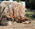 Boulder Fireplace Fresh This is A Typical Fireplace at One Of Our Seasonal Campsites