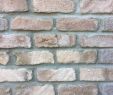 Brick Veneer Fireplace Unique Manufactured Brick Veneers In 2019