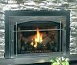 Buck Stove Wood Burning Fireplace Inserts Best Of Buck Fireplace Insert – Petgeek