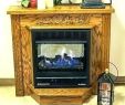 Buck Stove Wood Burning Fireplace Inserts Fresh Buck Fireplace Insert – Petgeek