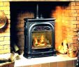 Buck Stove Wood Burning Fireplace Inserts Unique Buck Fireplace Insert – Petgeek