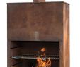 Buffalo Fireplace Best Of Gartenkamin Tube