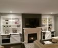 Built In Cabinet Around Fireplace Lovely 10 Exceptional Basement Remodeling A Bud Storage