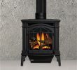 Buy Gas Fireplace Elegant Basic Black Gds25 Gas Stove Stove In 2019