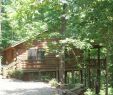 Cabin with Hot Tub and Fireplace Near Me Lovely Bear Tracks Log Cabin W Private Hot Tub Has Dvd Player