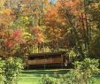 Cabin with Hot Tub and Fireplace Near Me Luxury Dreamin Hollow Great for Stargazing Private Hot Tub