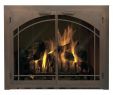 Carolina Fireplace Fresh Carolina Arch Fireplace Glass Door Window Pane