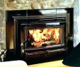 Cast Iron Fireplace Insert Elegant Wood Burning Fireplace Inserts for Sale – Janfifo