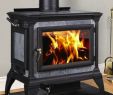 Cast Iron Fireplace Insert Lovely Best Wood Stove 9 Best Picks Bob Vila