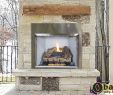 Cast Iron Fireplace Insert Luxury the Best Gas Chiminea Indoor