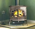 Cast Iron Gas Fireplace Unique Cast Iron Wood Stove Insert – Constatic