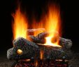 Ceramic Fireplace Logs New Hargrove Classic Oak See Through Vented Gas Log Set