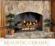 Ceramic Logs for Gas Fireplace Best Of 57 Best Ventless Gas Logs Images