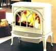 Cheap Wood Burning Fireplace Insert Unique Wood Burning Stove Insert for Sale – Dilsedeshi