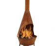 Chiminea Outdoor Fireplace Fresh Arneson Steel Wood Burning Chiminea Garden