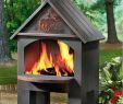 Chiminea Outdoor Fireplace Inspirational Best Chiminea Austin
