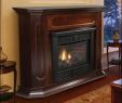 Chimneyless Fireplace Luxury New Vent Free Propane Natural Gas Fireplaces Ventless Gas