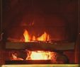 Classic Flame Fireplace Elegant the First Noel Christmas Classics the Yule Log Edition