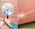 Cleaning Fireplace Brick Fresh How to Remove Efflorescence From Brick 10 Steps Wikihow