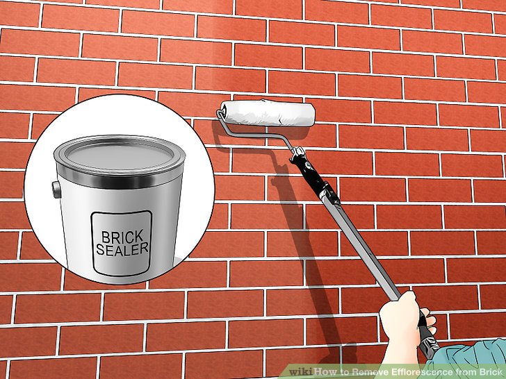 Cleaning Fireplace Brick Lovely How to Remove Efflorescence From Brick 10 Steps Wikihow