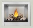 Cleaning Gas Fireplace Logs Lovely Napoleon Riverside 36 Clean Face Outdoor Gas Fireplace