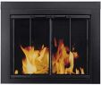 Cleaning Glass Fireplace Doors Beautiful Shop Amazon