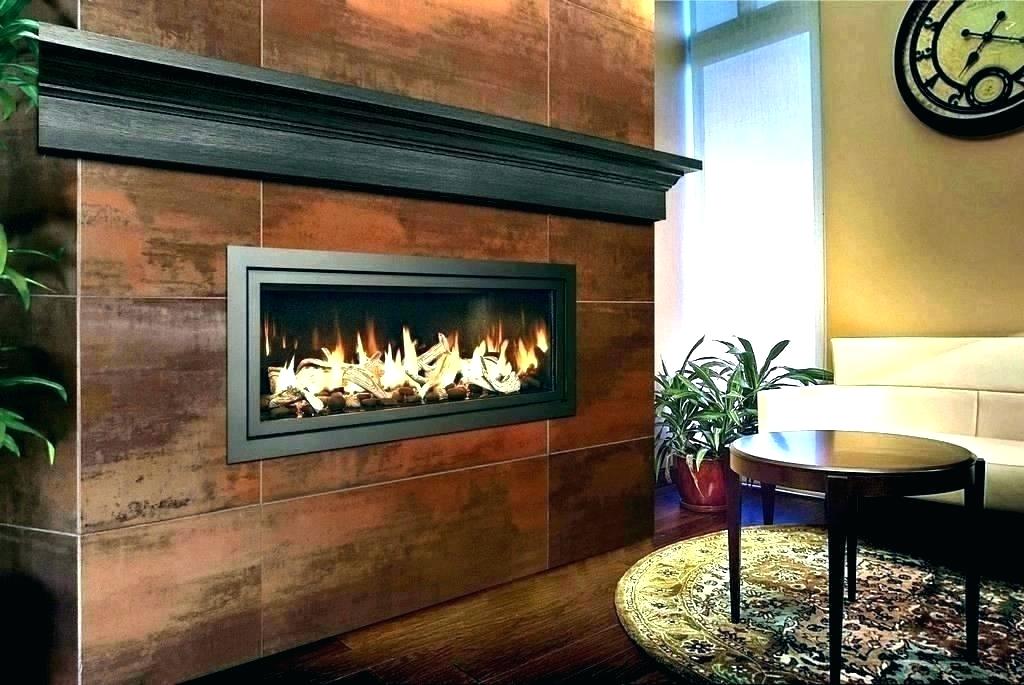 Contemporary Fireplace Insert Unique Modern Wood Burning Fireplace Inserts Contemporary Gas