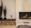 Contemporary Fireplace Inserts Elegant Gas Insert Element 4 Modore 95 Balance Flue Gas Insert