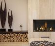 Contemporary Fireplace Inserts Elegant Gas Insert Element 4 Modore 95 Balance Flue Gas Insert