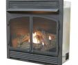 Convert Gas Fireplace to Wood Elegant Gas Fireplace Inserts Fireplace Inserts the Home Depot