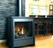 Convert Wood Burning Fireplace to Gas Logs Elegant Convert Wood Burning Stove to Gas – Dumat