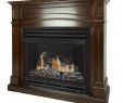 Convert Wood Burning Fireplace to Gas Luxury 45 88 In Dual Burner Cherry Gas Fireplace