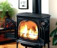 Convert Wood Burning Fireplace to Gas Unique Cost Of Wood Burning Fireplace – Laworks