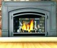 Convert Wood Fireplace to Electric New Convert Wood Burning Stove to Gas – Dumat