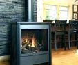 Convert Wood Fireplace to Gas Fresh Convert Wood Burning Stove to Gas – Dumat