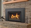 Convert Wood to Gas Fireplace Beautiful Pros & Cons Of Wood Gas Electric Fireplaces