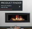 Convert Wood to Gas Fireplace Best Of astria Fireplaces & Gas Logs