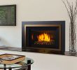 Convert Wood to Gas Fireplace Lovely the Passion Of Fireplaces and Stoves