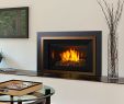 Convert Wood to Gas Fireplace Lovely the Passion Of Fireplaces and Stoves