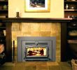 Convert Wood to Gas Fireplace New Convert Wood Fireplace to Gas Cost Near Me Co – Morbanfo